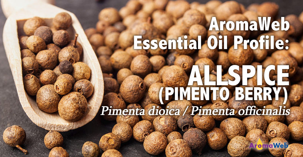 Allspice Berry Health Benefits Why Essential Oils